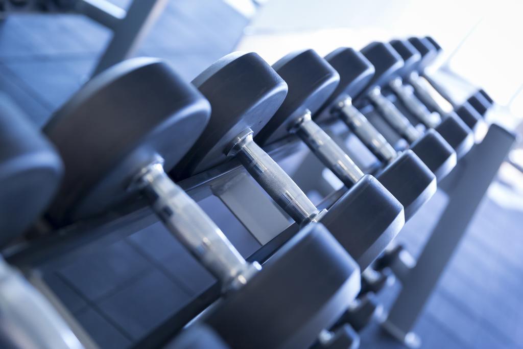 Novotel Abu Dhabi Al Bustan Esterno foto Dumbbells
